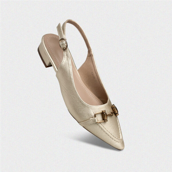 Slingbacks Strap with Buckle Shoe